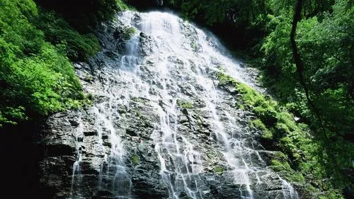 高端稳定性自动化